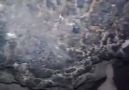 Bu kozalardan gören varsa benimle iletişime geçiniz