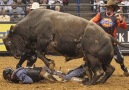 Bull riders are a different kind of crazy...