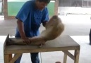 Bu maymuna inanamayacaksınız! :)