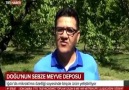 Bu Memleketin Eşi benzeri yoktur.... - Hasanhan Sevenleri