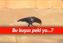 Buna Çok Şaşıracaksınız...