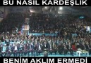 BU NASIL KARDEŞLİK?