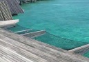 Bungalow in The Maldives