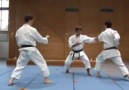 Bunkai.Heian Shodan.