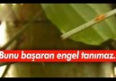 Bunu Başaran Engel Tanımaz!