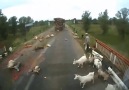 Bunu yapanın insan olduğuna PES dedirten o Kaza