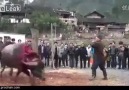 BUNU   YAPAN   İNSAN  OLAMAZ  İZLE  PAYLAŞ  HERKES  GÖRSÜN