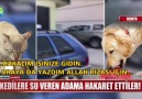 Bu öfke kediler su içmesin diye!