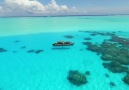 Burada insan yaşlanmaz. Bora Bora adası.