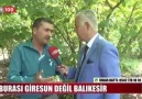 Burası Balıkesir Fındık 15 lira..