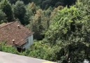 Buraya Etiketleyeceğin kişinin sana KUYMAK borcu olsun.