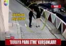 BURAYA PARK ETME KURŞUNLARI!