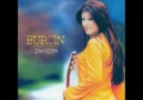 Burçin - Çarşambayı sel aldı