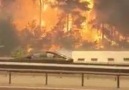 Bursada orman yangını devam ediyor...Report Bursanın Havası