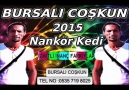 BURSALI COŞKUN 2015 NANKÖR KEDİ İZMİTLİ İNANÇ FARKIYLA