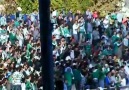 Bursaspor Fans