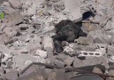 Bu Sabah Suriye İdlibte
