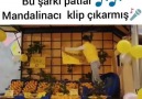 Bu Şarkı Patlar )