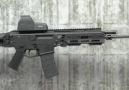 Bushmaster ACR