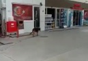 Busra Tüccar - Ülkenin köpeği de değişik abi