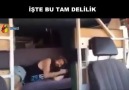 Bu Tam Bir Delilik, Beyin İptal