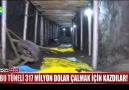 Bu tüneli 317 milyon dolar çalmak için kazdılar!