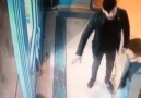 Bütün Mahalleliye Izdırap Olan Kedi D