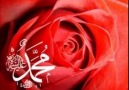 Bu Ümmeti Muhammede Sevgimiz Var Saygımız Var..ilahi..