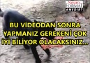 BU VİDEODAN SONRA HERKES AYNI ŞEYİ YAPACAK...