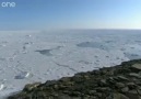 Buzulların erimesi