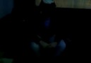 By PisLickq - CanLı Performans  3 :)