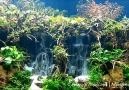 Cachoeira em aquário