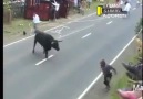 Ça fait plaisir de voir quelque mongole se faire defoncer
