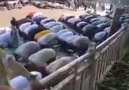 Çakan Kapakci - Çinliler çinde namaz kılıp corona virüsüne...