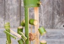 Cake Design - Amazing Craft IDeas From Bamboo Facebook