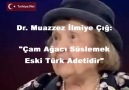 Çam Ağacı Süsleme Adetinin Tarihçesi