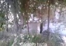 Çamaltı tuzla harabe evleri
