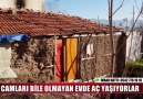 CAMLARI BİLE OLMAYAN EVDE AÇ YAŞIYORLAR