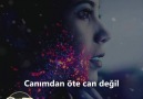 Can dostlarınızı etiketleyin