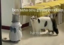 Caner Bulut - Ben sana değil elalem zihniyetine güvenmiyorum