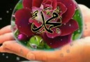 Canı Dilden Aşık Oldum Muhammede s.a.v