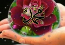Canı Dilden Aşık Oldum Muhammede Sevgi Dünyası Aşk-ı EBEDA
