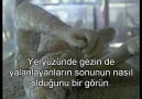 Canın mı sıkılıyor_ O zaman izle! (Çok Güzel!!!)