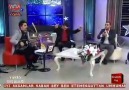 Çankırılı Şaban [Sevme Diyorlar] 2013 Vatn Tv