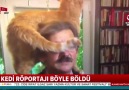 Canlı yayına kedi müdahalesi