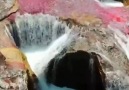 Cano Cristales River In Colombia
