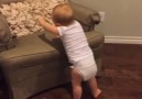 Can this baby dance better than you?