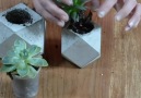 Canvas Arts - Concrete Planter Facebook