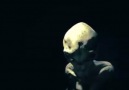 Captured Alien "Spooky"