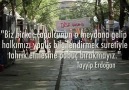 Çapulcuların Dünyası